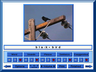 Articulation I: Consonant Phonemes